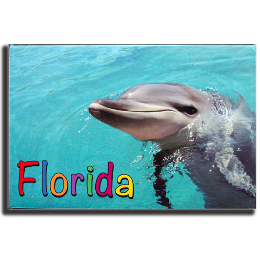PM0018 FLORIDA DOLPHIN