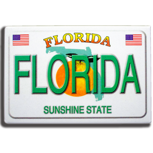 PM0008 FLORIDA LICENSE PLATE