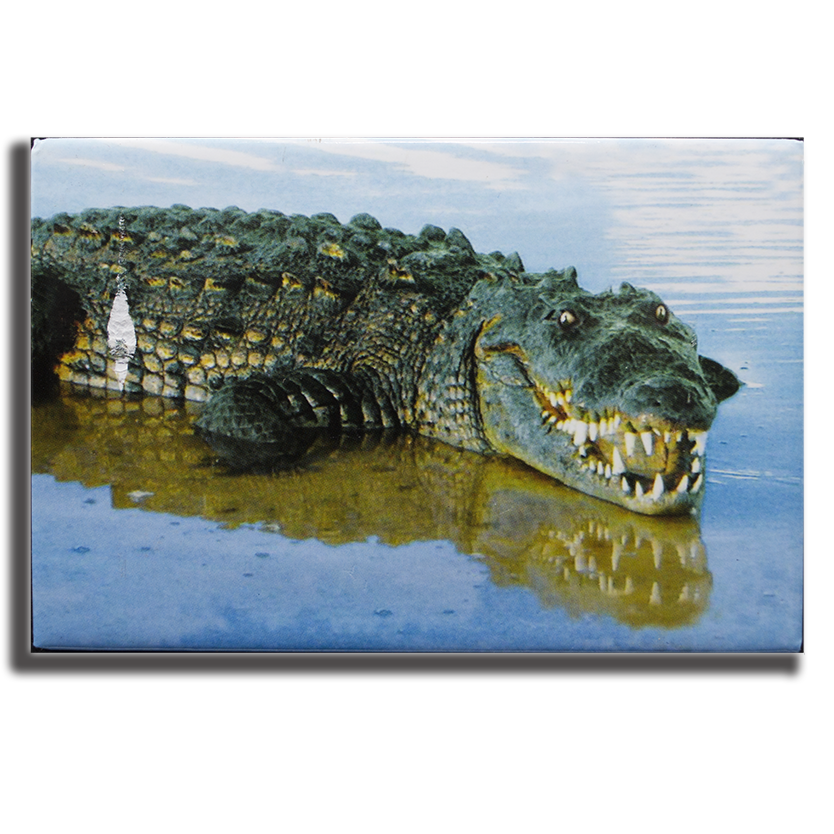 PM0504 PAD GATOR