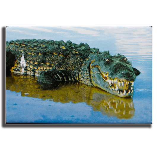 PM0504 PAD GATOR