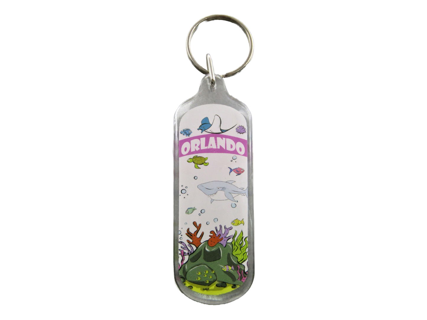 AK1036 ORLANDO CLEAR REEF