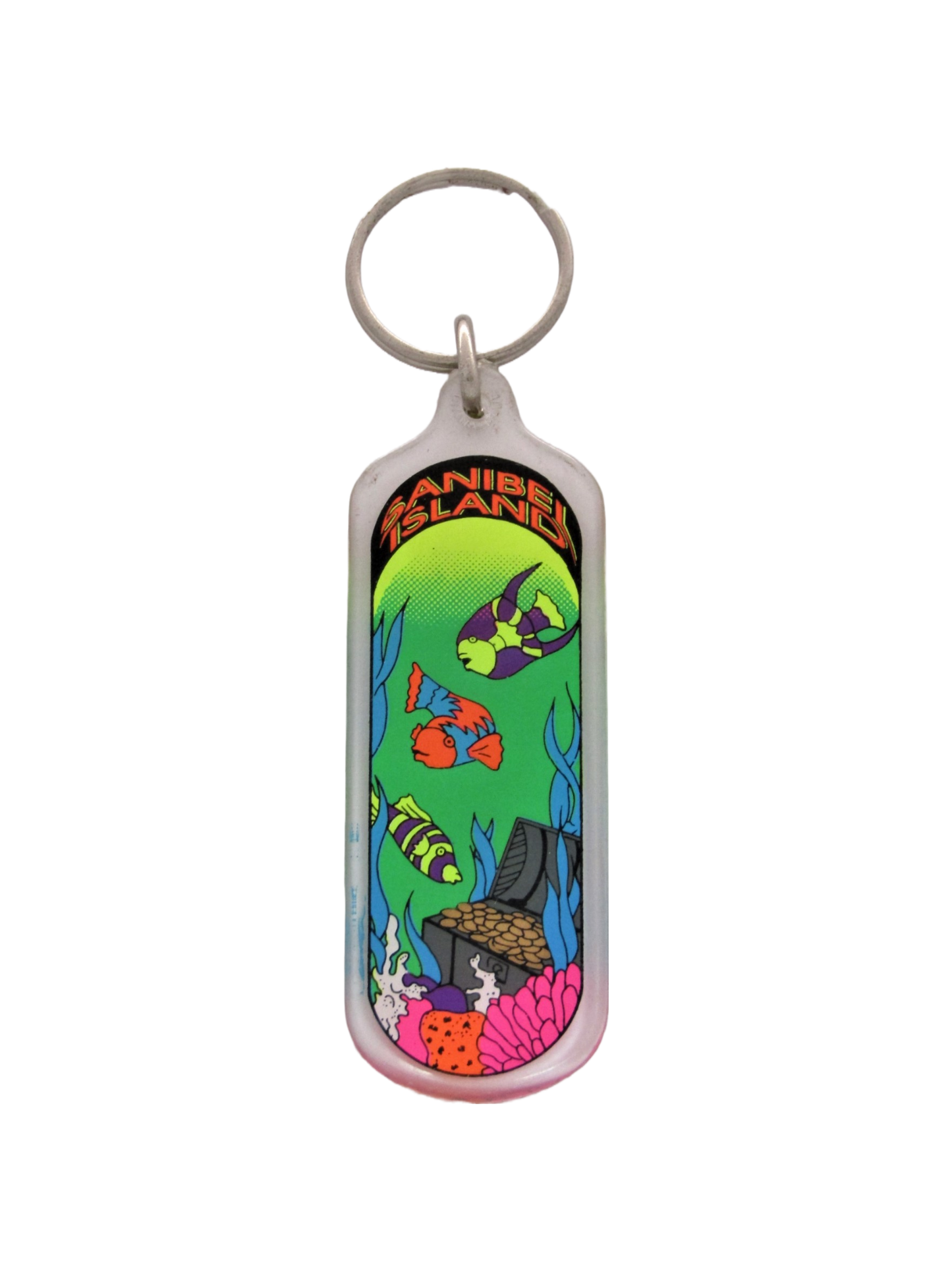 AK1099 SANIBEL ISLAND NEON FISH