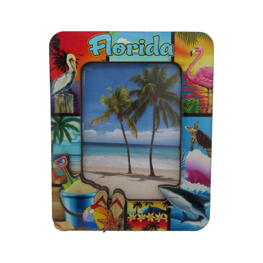FR5000 3DFRAME FLORIDA