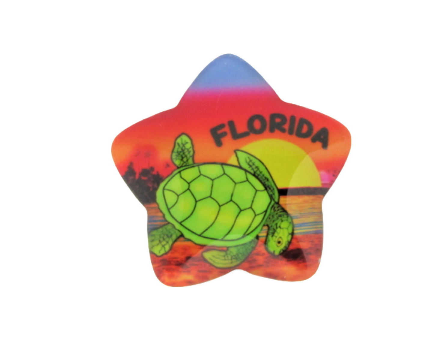 GM0108 FLORIDA STAR GLASS MAGNET TURTLE