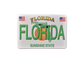LP0084 FLORIDA LICENSE PLATE