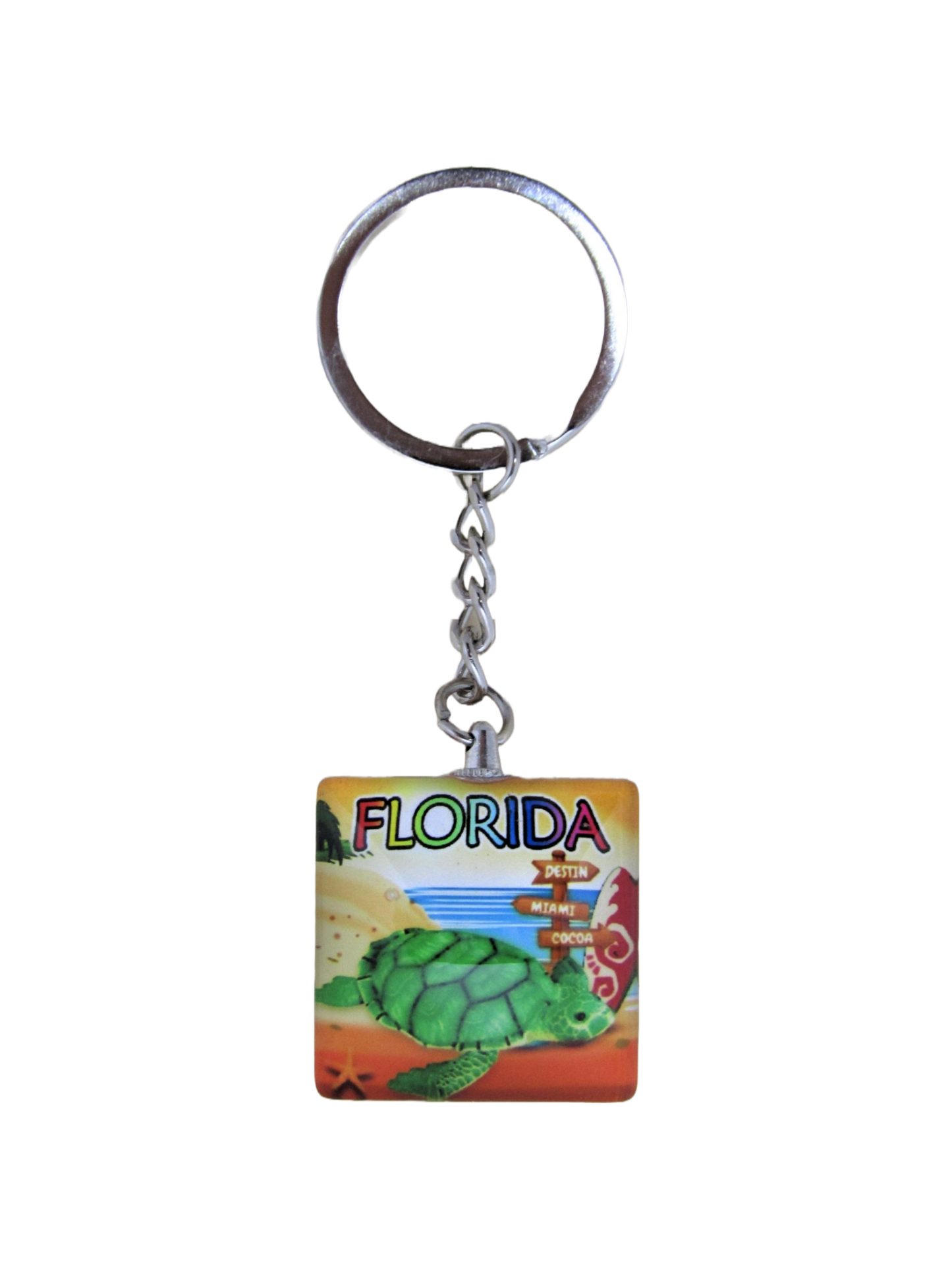 MK1104 FLORIDA SQUARE TURTLE