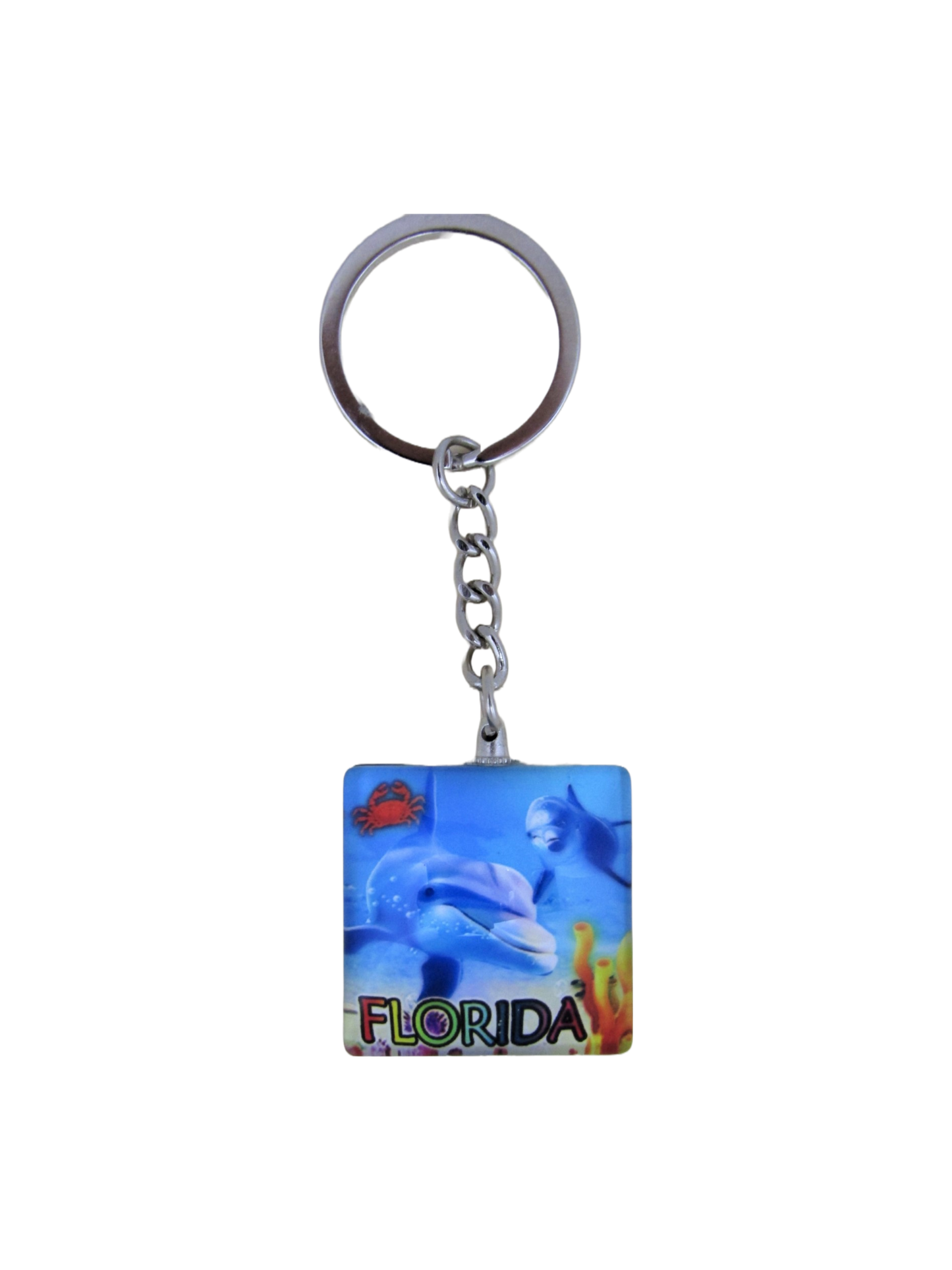 MK1105 FLORIDA SQUARE DOLPHINS