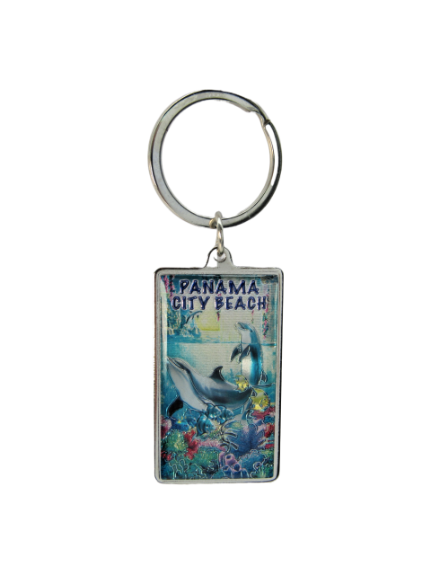 MK1416 PANAMA CITY BEACH DOLPHINS