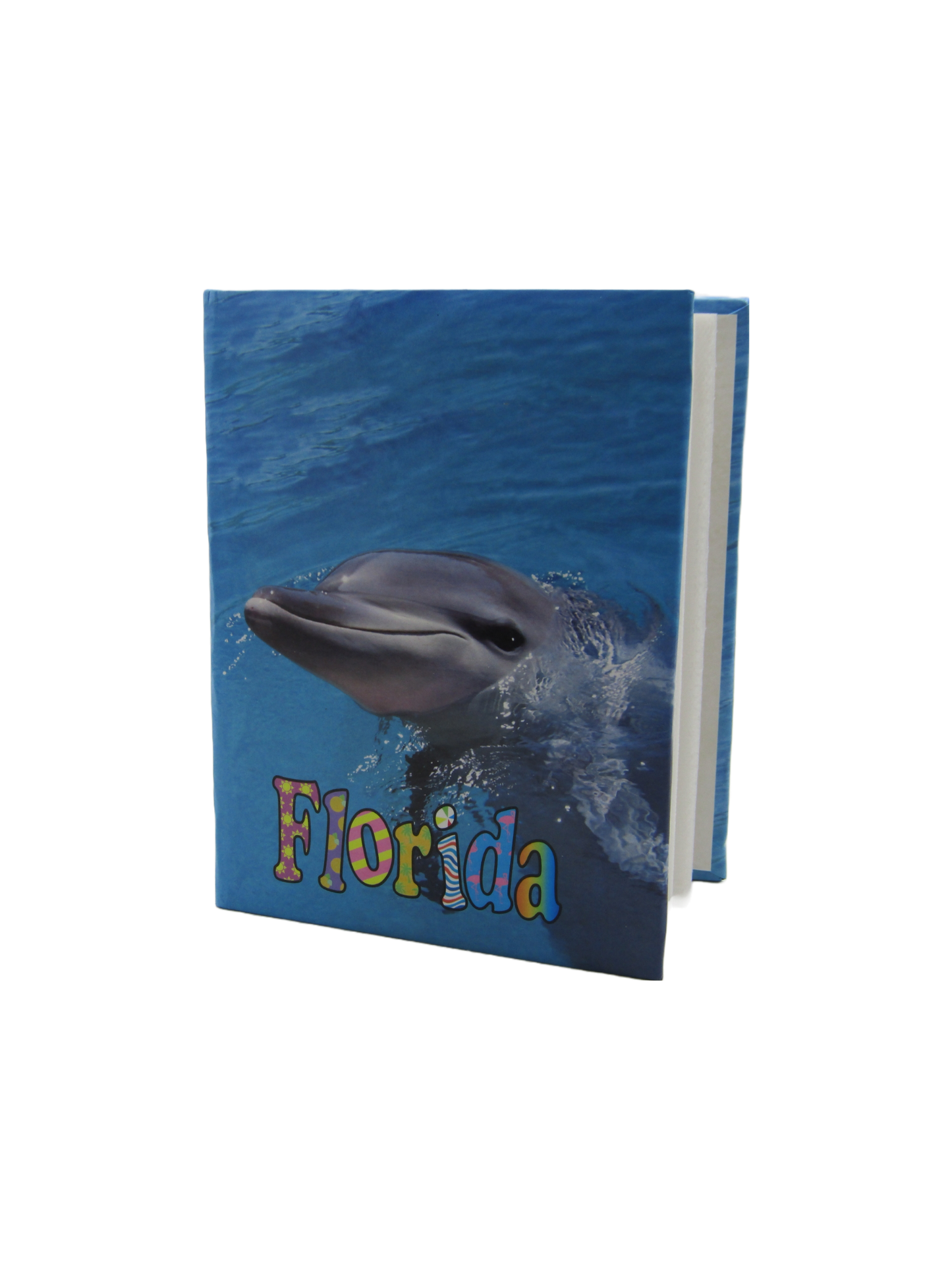 PB0001 FLORIDA DOLPHIN