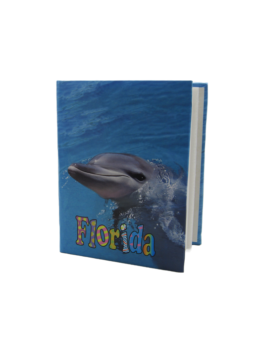 PB0001 FLORIDA DOLPHIN