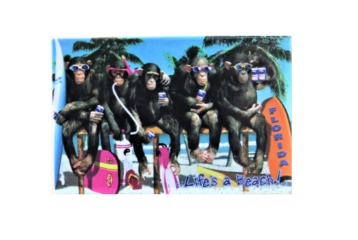 PM0023 FLORIDA MONKEYS