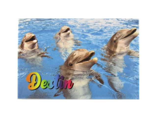PM0515 DESTIN DOLPHINS