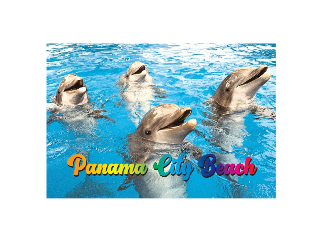 PM0519 PANAMA CITY BEACH DOLPHINS