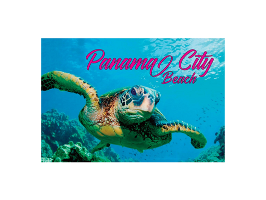 PM0528 PANAMA CITY BEACH TURTLE