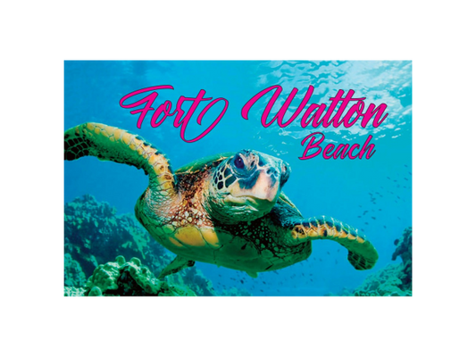 PM0532 FT. WALTON BEACH TURTLE