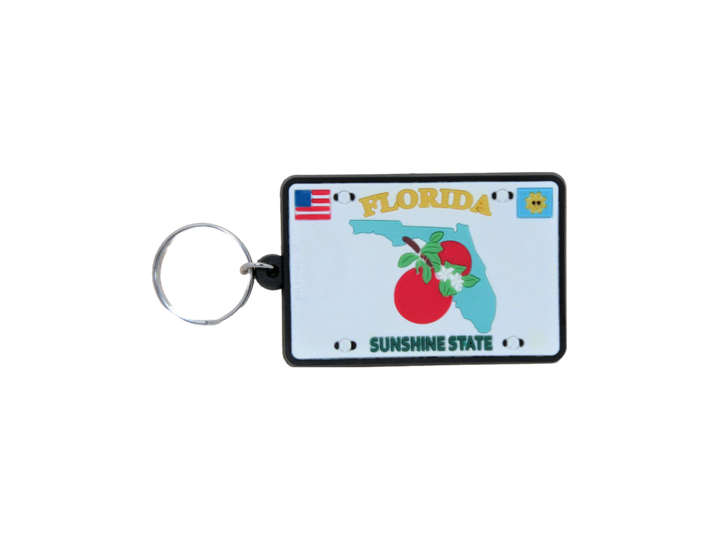 RK0207 PAD FLORIDA LICENSE