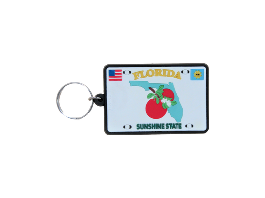 RK0207 PAD FLORIDA LICENSE