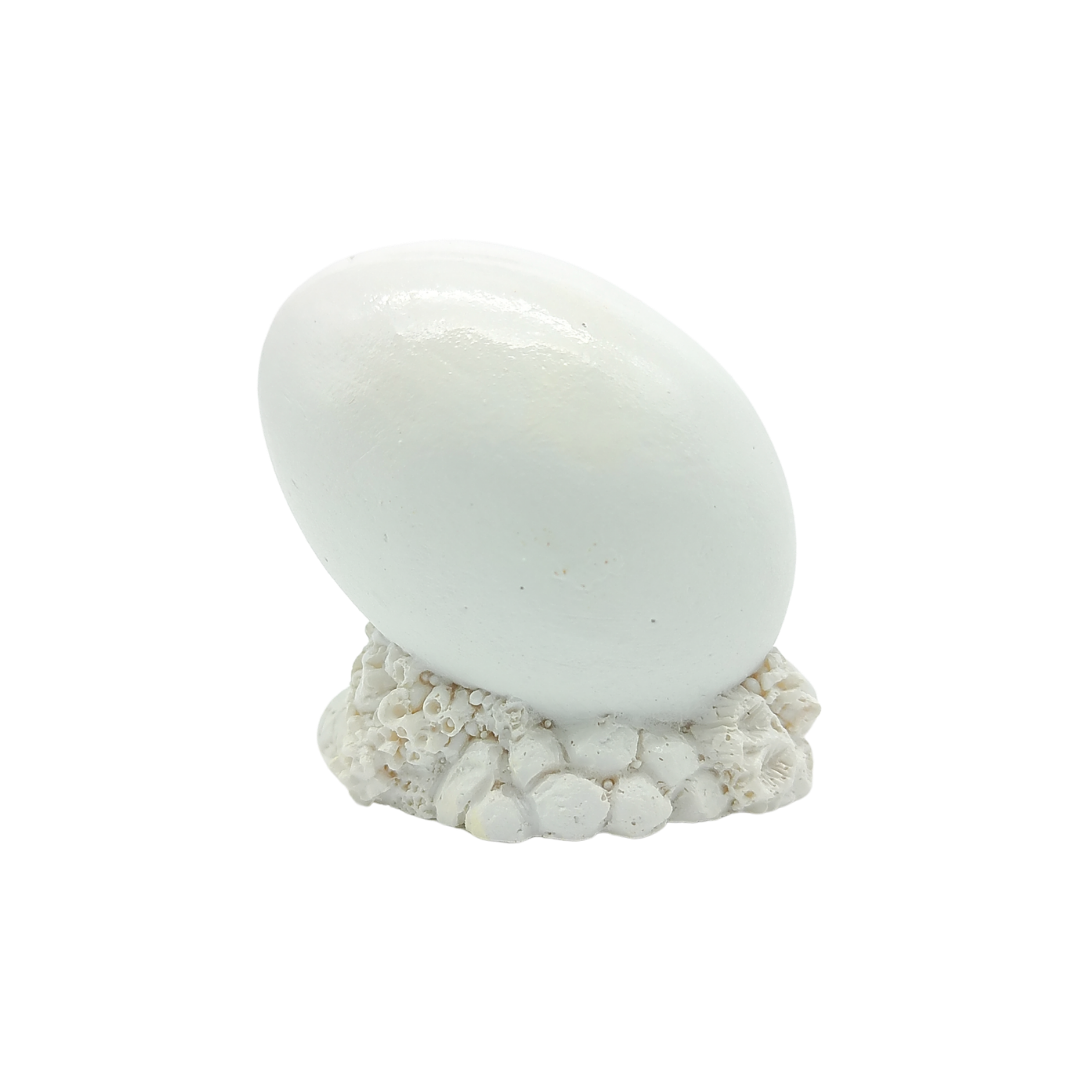 FIG5028 TURTLE ORNAMENT
