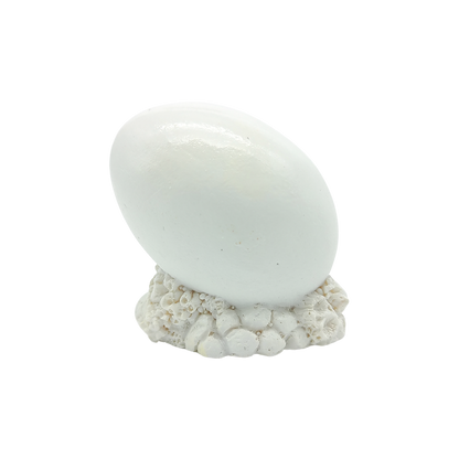 FIG5028 TURTLE ORNAMENT