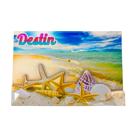 3DM1114A DESTIN STARFISH