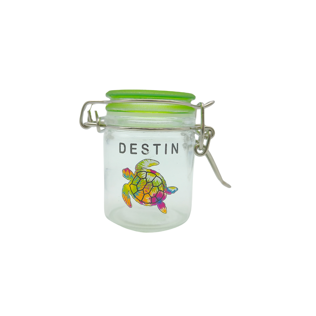 CA2001A DESTIN TURTLE