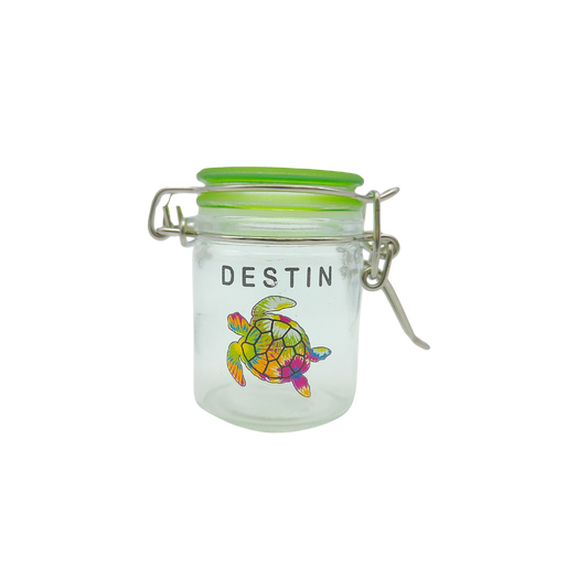 CA2001A DESTIN TURTLE