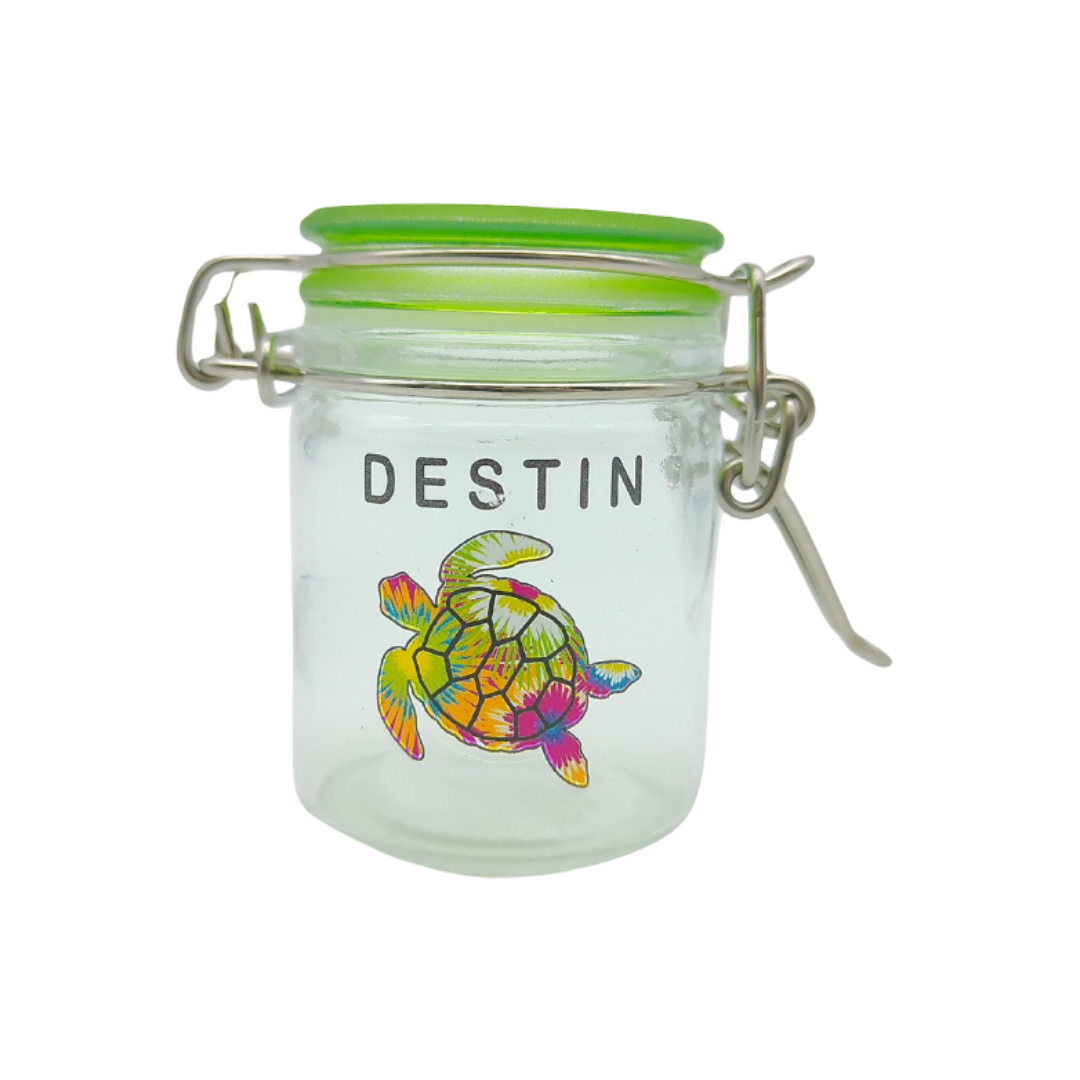CA2001A DESTIN TURTLE