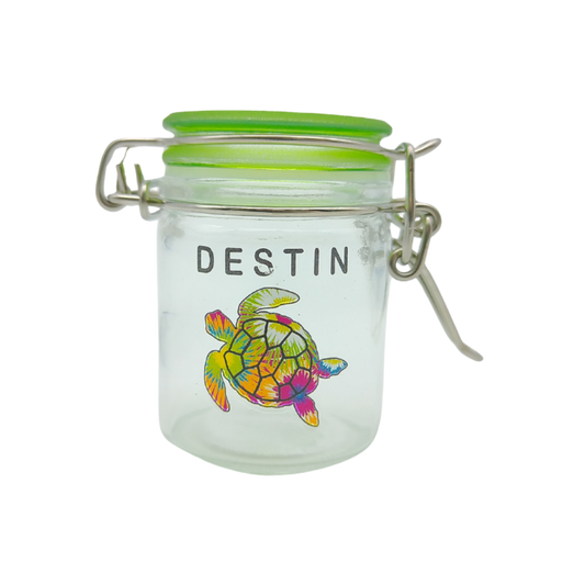 CA2001A DESTIN TURTLE