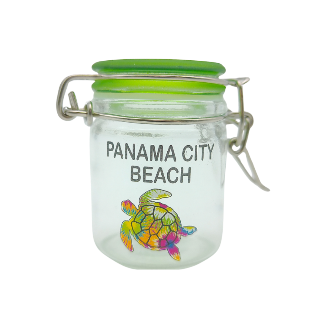 CA2001B PANAMA CITY BEACH TURTLE