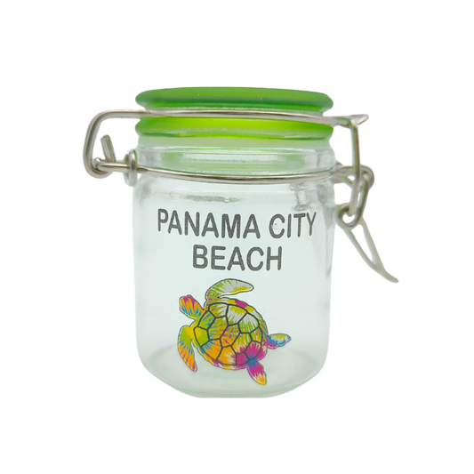 CA2001B PANAMA CITY BEACH TURTLE