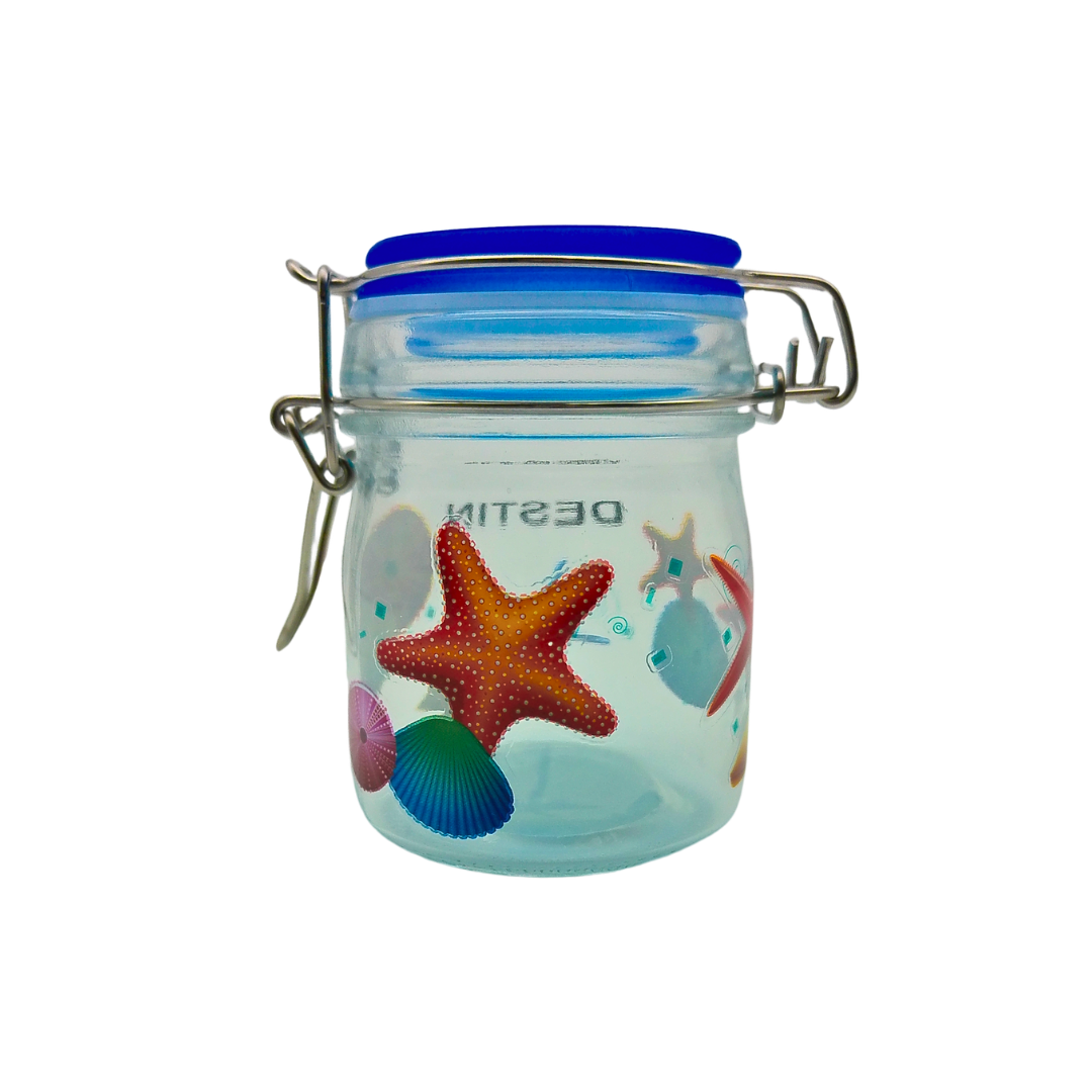 CA3001A DESTIN STARFISH