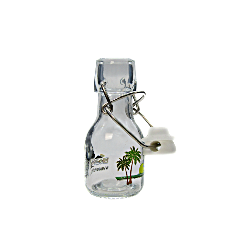 EB0010 BLANK SWINGTOP BOTTLE