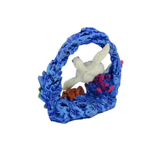 FIG5004 FLORIDA TURTLE REEF