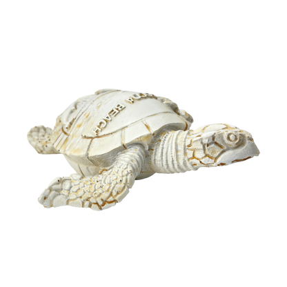 FIG5020E COCOA BEACH TURTLE