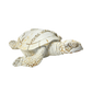 FIG5020E COCOA BEACH TURTLE