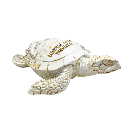 FIG5020B PANAMA CITY BEACH TURTLE