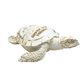 FIG5020B PANAMA CITY BEACH TURTLE