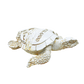 FIG5020C ORLANDO TURTLE