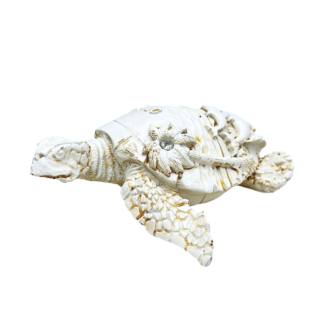 FIG5020C ORLANDO TURTLE