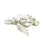 FIG5020C ORLANDO TURTLE