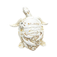 FIG5020C ORLANDO TURTLE