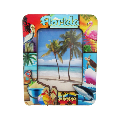 FR5000 3DFRAME FLORIDA