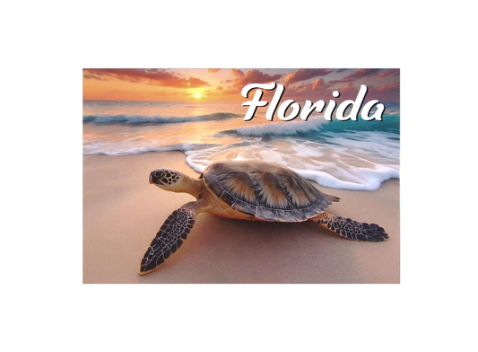 LP0002 FLORIDA TURTLE