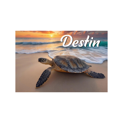 LP0002A DESTIN TURTLE