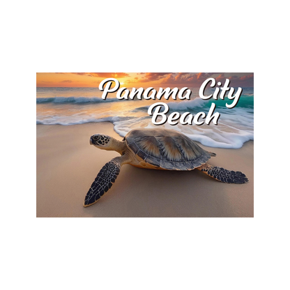 LP0002B PANAMA CITY BEACH TURTLE