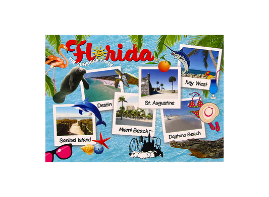 LP0003 FLORIDA COLLAGE