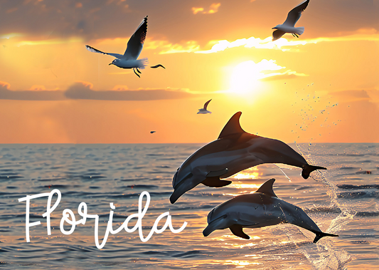LP0008 FLORIDA SUNSET DOLPHIN