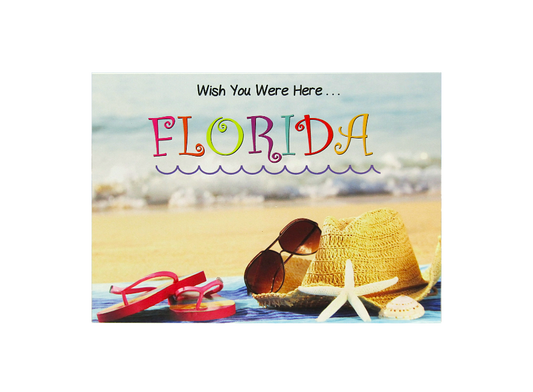 LP0009 FLORIDA SUNGLASSES