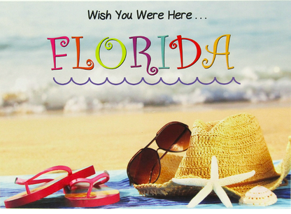 LP0009 FLORIDA SUNGLASSES