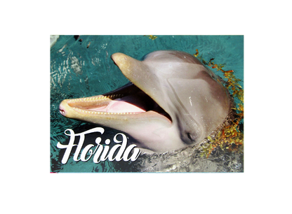 LP0012 FLORIDA DOLPHIN